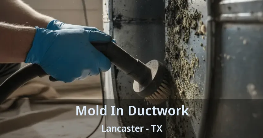 Mold In Ductwork Lancaster - TX